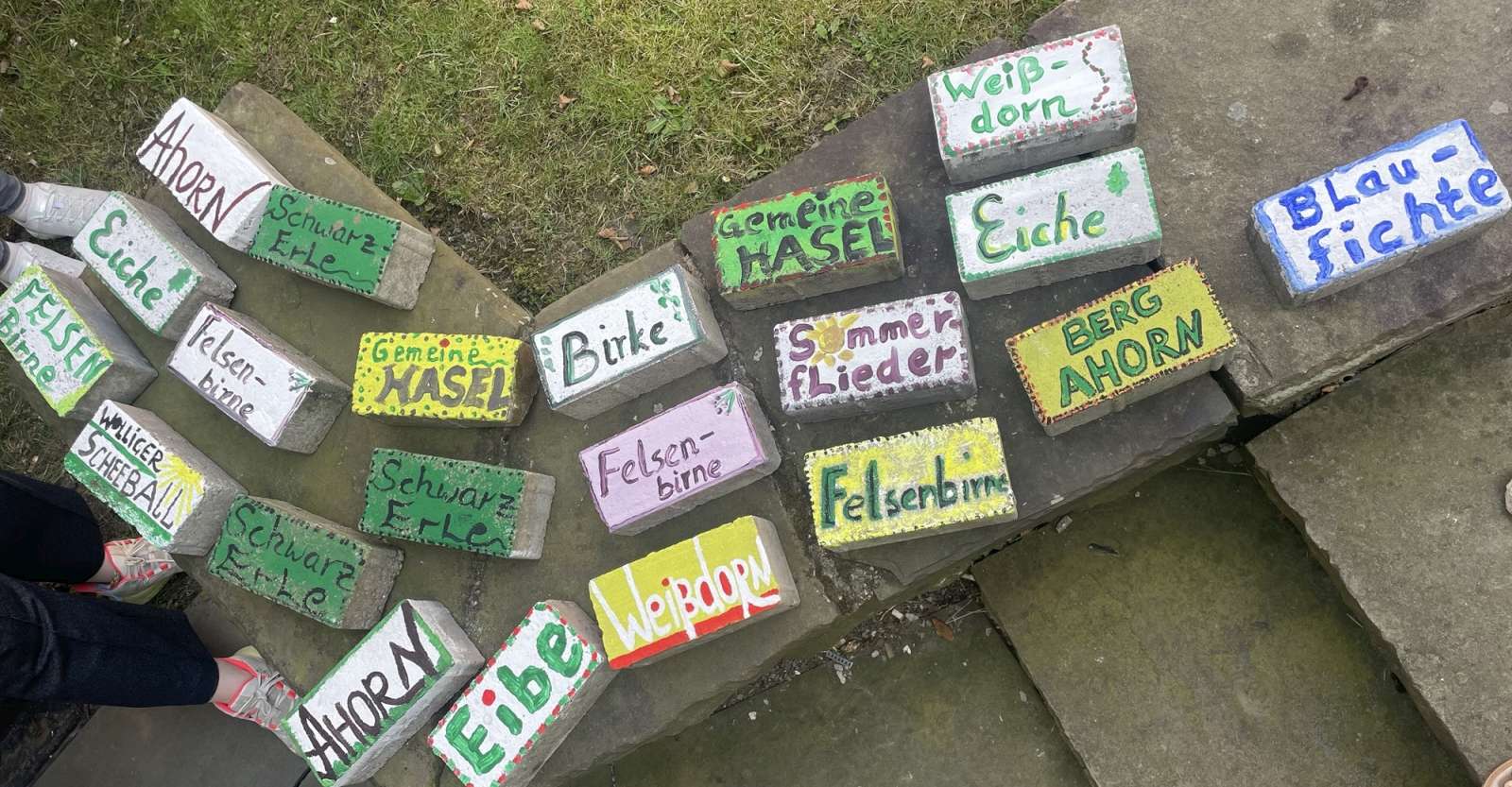 Projekte in der Fachschule für Sozialpädagogik 